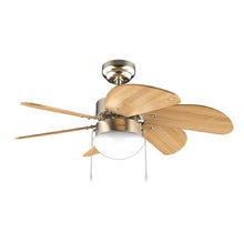 Carica l'immagine nel visualizzatore di Gallery, Energysilence Aero 360 Gold&Wood-01