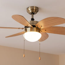 Carica l'immagine nel visualizzatore di Gallery, Energysilence Aero 360 Gold&Wood-02