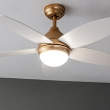 Carica l'immagine nel visualizzatore di Gallery, Energysilence Aero 4200 Goldwhitewood-05