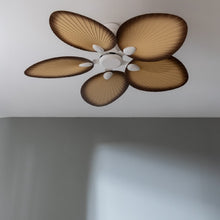 Carica l'immagine nel visualizzatore di Gallery, Energysilence Aero 5200 Palm-02