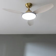 Carica l'immagine nel visualizzatore di Gallery, Energysilence 4800 Light Goldwhite-02
