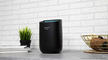 Carica l'immagine nel visualizzatore di Gallery, Deumidificatore Big Dry 2000 Light Black