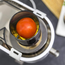 Carica l'immagine nel visualizzatore di Gallery, Centrifuga StrongTitanium 19000 XXL