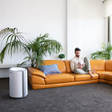 Carica l'immagine nel visualizzatore di Gallery, Deumidificatore BigDry 9000 Professional Connected