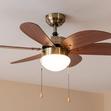 Carica l&#39;immagine nel visualizzatore di Gallery, Energysilence Aero 365 Gold&amp;Wood-02

