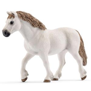 Giumenta Welsh Pony