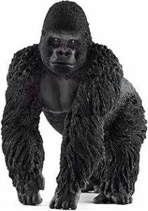 Gorilla Maschio