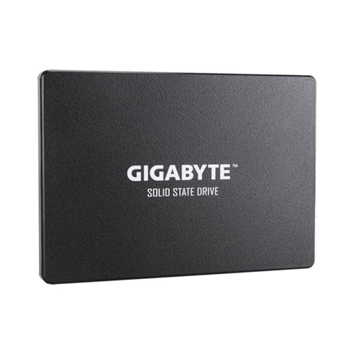 Gigabyte Gpgstfs31256Gtnd Ssd 256Gb  Interno  25