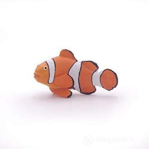 Pesce Nemo