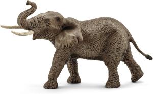 Elefante Africano Maschio