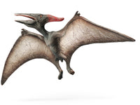 61364 - BULLYLAND - Dinosauri/Pterodattilo Linea Museo Naturale (I)