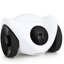 Carica l'immagine nel visualizzatore di Gallery, Robot interattivo per animali PotBot
