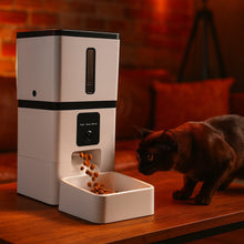 Carica l'immagine nel visualizzatore di Gallery, Dispenser Automatico di Cibo Potfood

