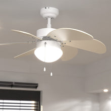 Carica l&#39;immagine nel visualizzatore di Gallery, Ventilatore da soffitto EnergySIlence Aero 3600 Vision SunLight
